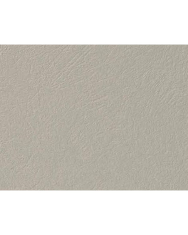 Beige (163 EC)