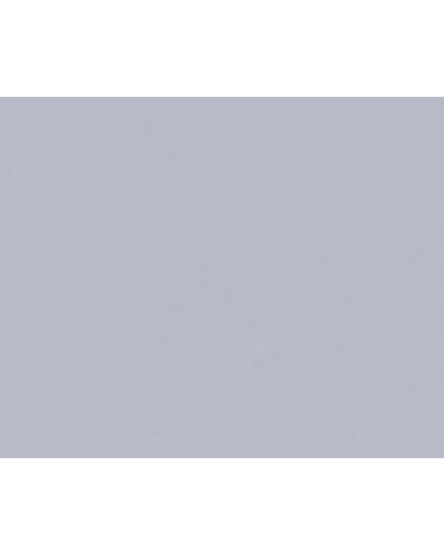 Bluish Grey (234 HG)