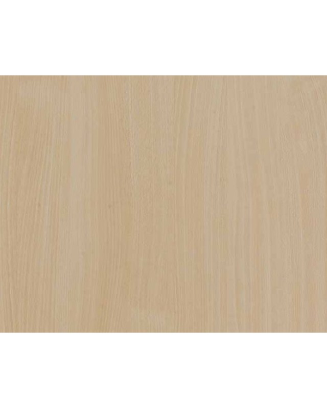 Bodensee Beech (303 SU)