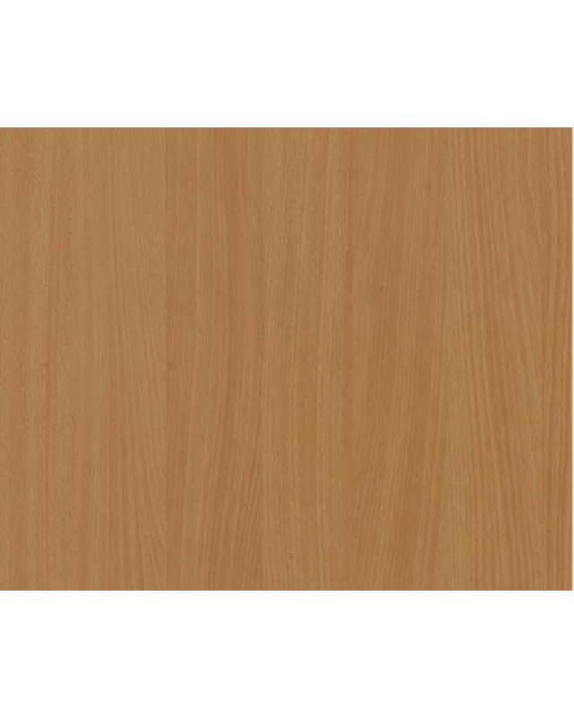 Bavarian Beech (311 SU)