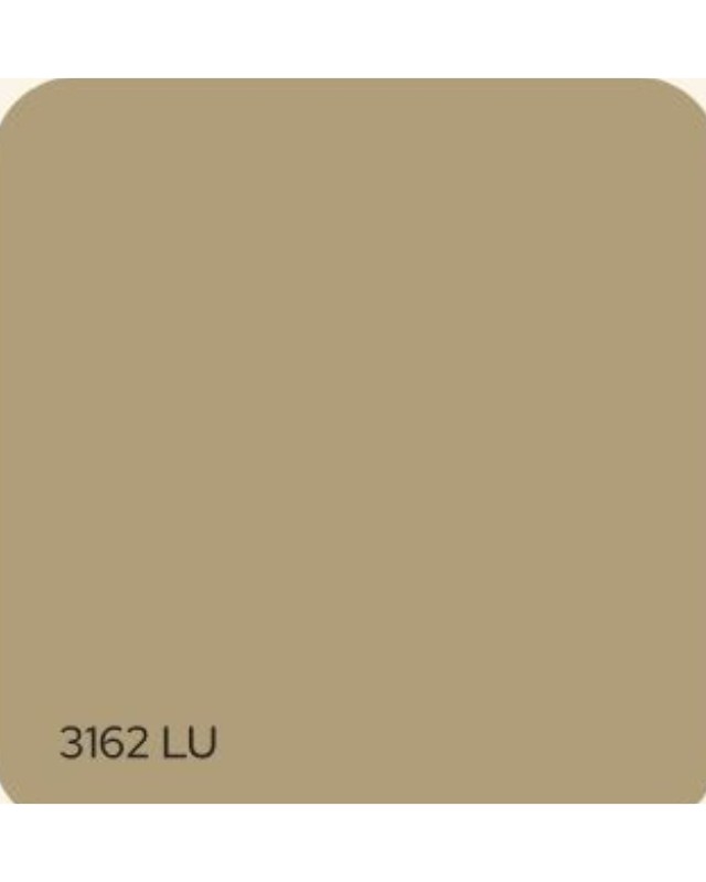 3162 LU