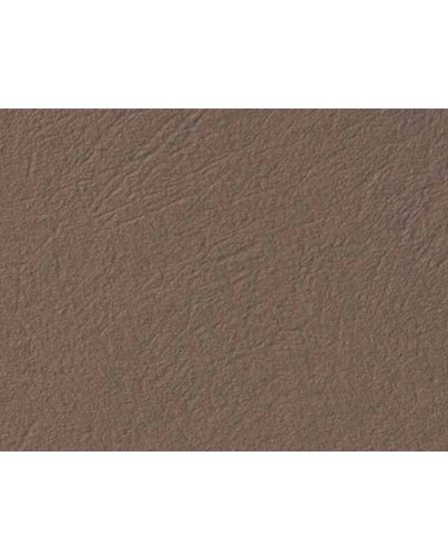 Mudpie (3171 EC)