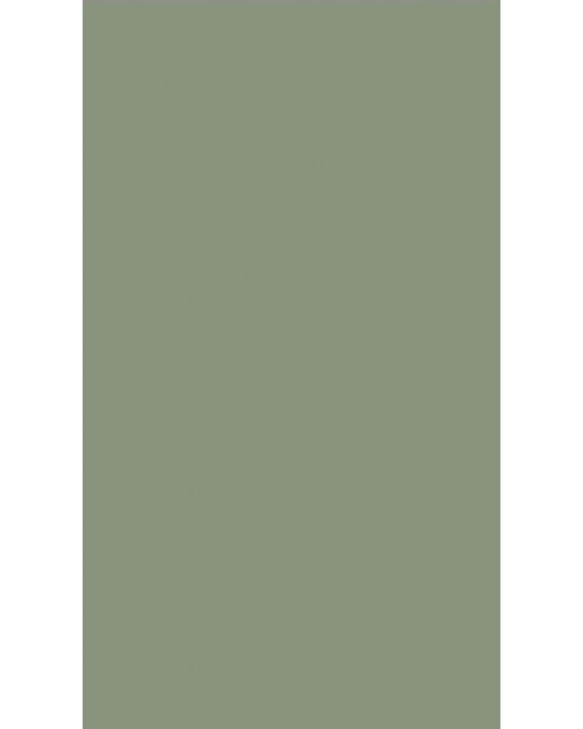 Silica Grey (3238 LU)