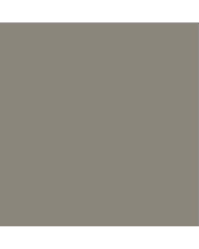 Silica Grey (3238 SI)