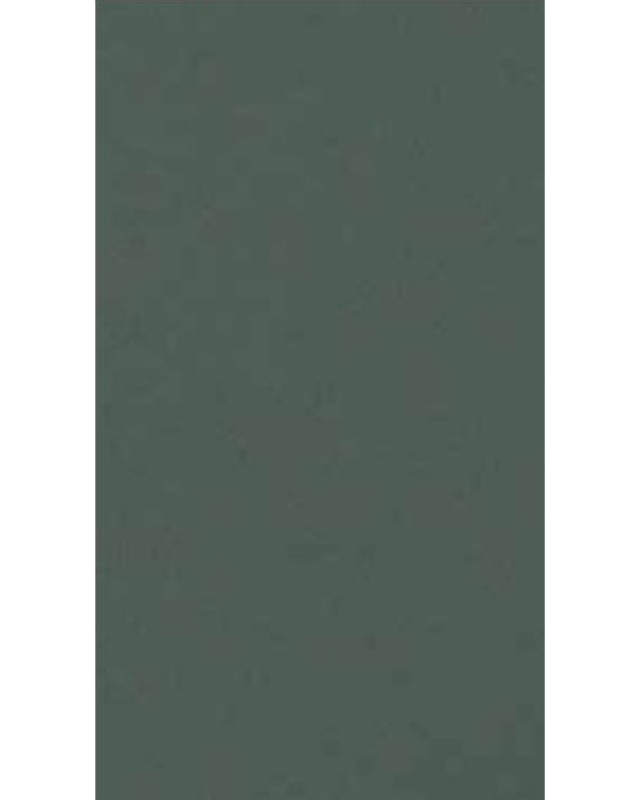 Misty Grey (3239 AP)