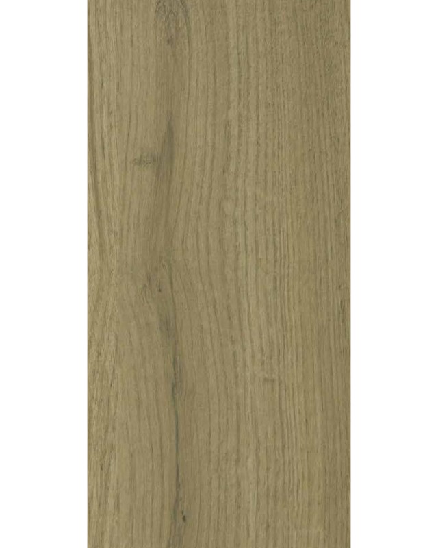 Conjo Oak (4639 SU)