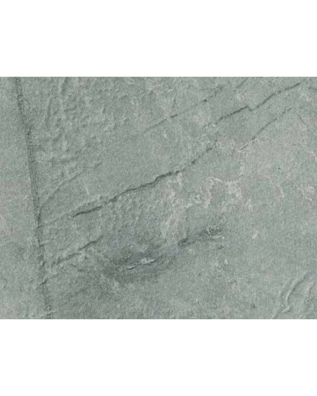 Caspio Ridge Grey (4921 SI)