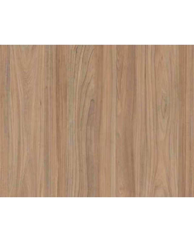 Swiss Elm (94747 SU)