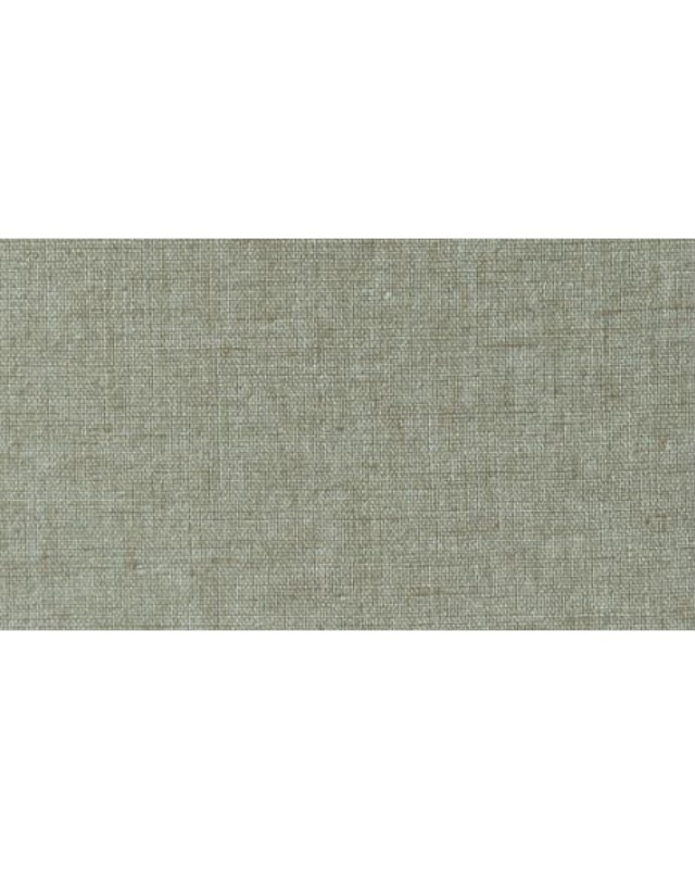 Toile Fabric (4819 MT)